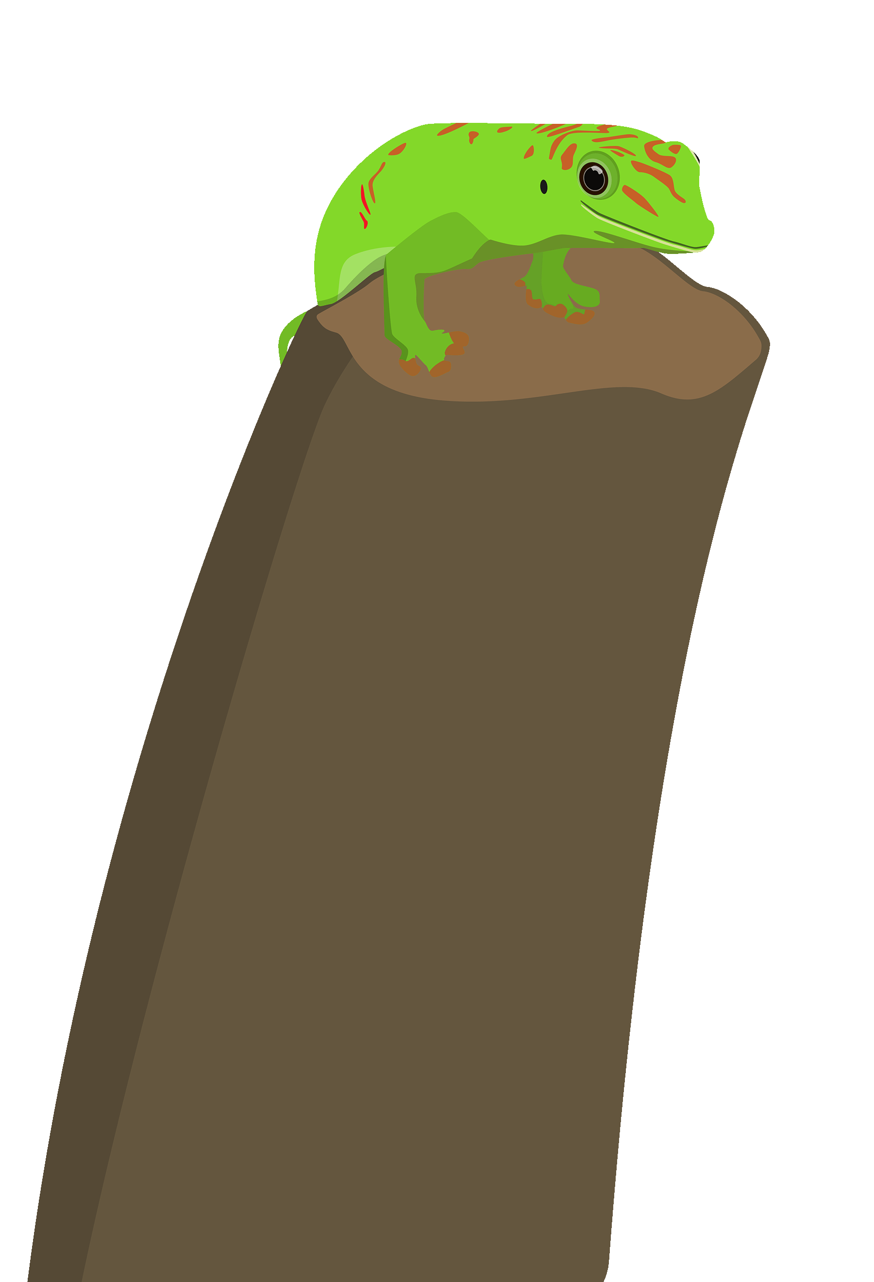 Innonature Gecko